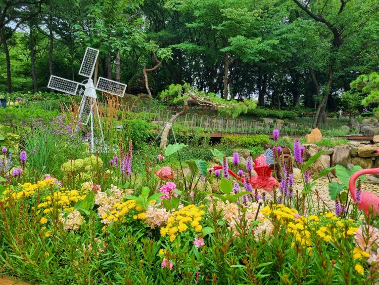 초안산수국동산