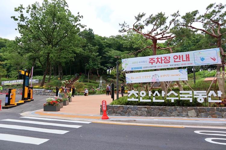 초안산 수국동산 주차장, 주말 오후에는 절대 가지 말라는 이유가 있다