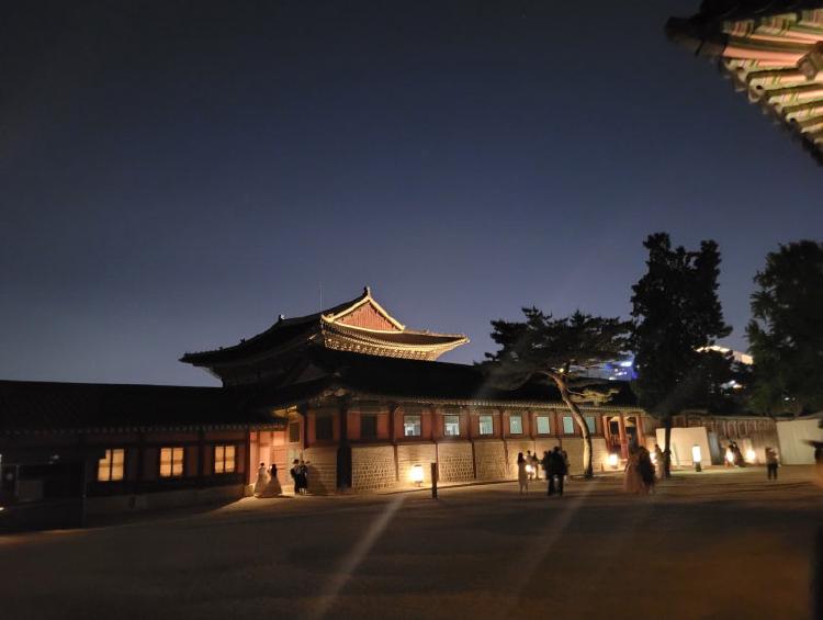경복궁 야간개장