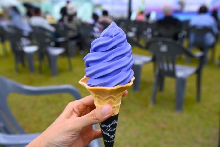 무릉별유천지 라벤더 아이스크림, 라벤더축제의 숨은 별미, 왜 모두가 이 아이스크림을 찾을까