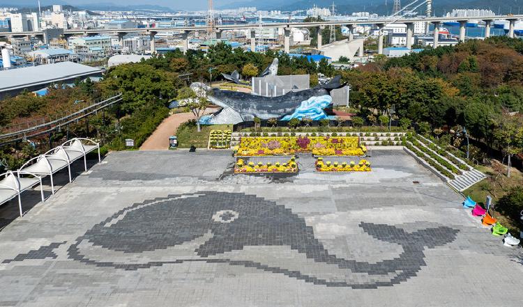 울산 수국축제 2025