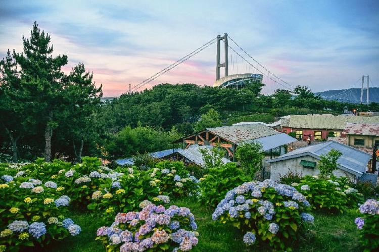 울산 수국축제 먹거리, 이거 먹고 와야 진짜 축제를 즐긴 거다!