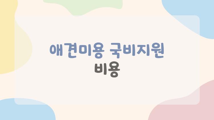 애견미용 국비지원 비용