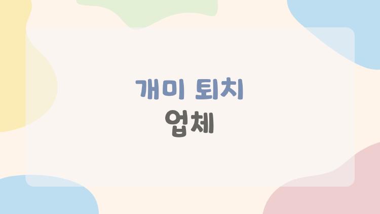 개미 퇴치 업체