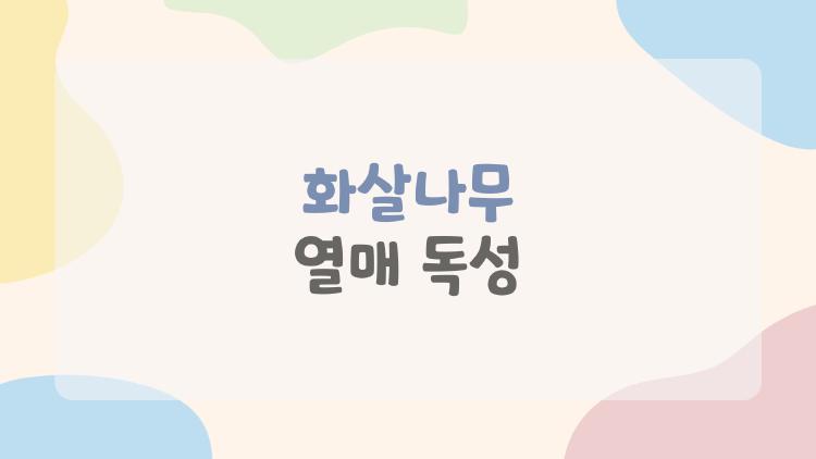 화살나무 열매 독성