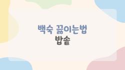 백숙 끓이는법 밥솥, 전기밥솥 하나로 끝내는 누룽지 백숙 레시피