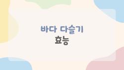 바다 다슬기 효능, 2026년에 왜 이렇게 핫한지 알고 싶다면
