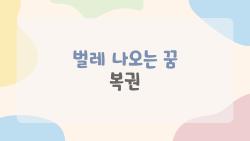 벌레 나오는 꿈 복권, 꿈이 진짜 당첨 신호일까? 사람들이 가장 궁금해하는 5가지