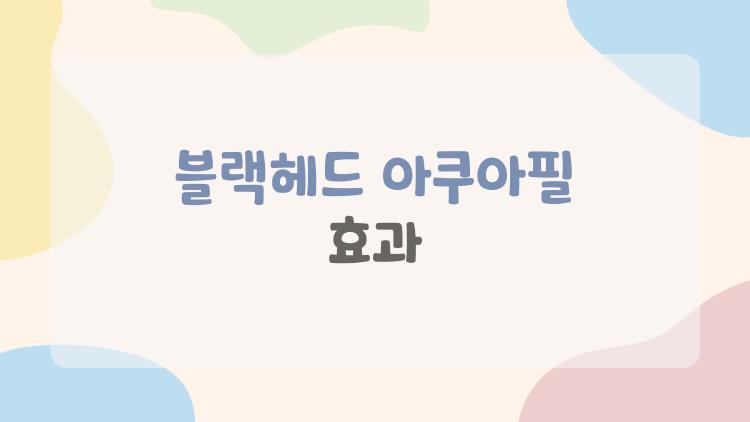 블랙헤드 아쿠아필 효과