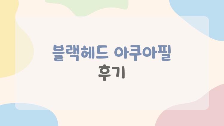 블랙헤드 아쿠아필 후기
