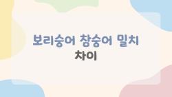 보리숭어 참숭어 밀치 차이, 시장에서 속지 않는 1초 구분법