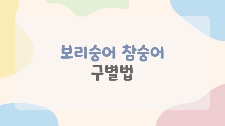 보리숭어 참숭어 구별법, 시장서 속지 않는 눈 하나만 봐도 끝!