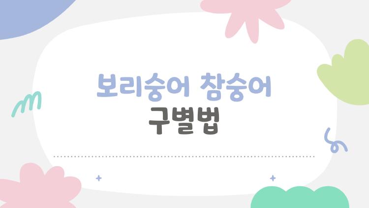 보리숭어 참숭어 구별법, 시장서 속지 않는 눈 하나만 봐도 끝!