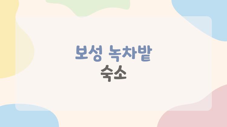 보성 녹차밭 숙소