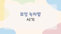 보성 녹차밭 시기, 1년 중 이때만 가야 하는 이유