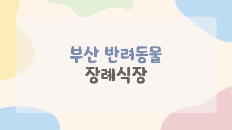 부산 반려동물 장례식장