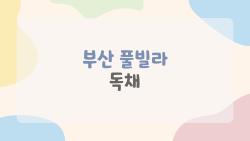부산 풀빌라 독채, 2026년에 왜 이렇게 핫할까?