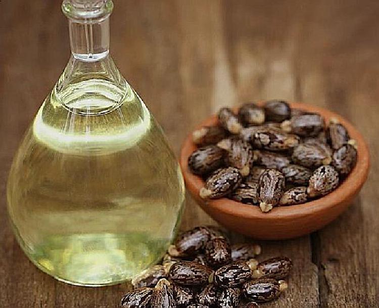 피마자오일 효능, 탈모 잡는 7일 기적 루틴 공개