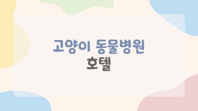 고양이 동물병원 호텔