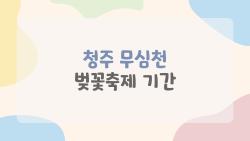 청주 무심천 벚꽃축제 기간, 올해 3일 뿐? 주차 꿀팁 대공개