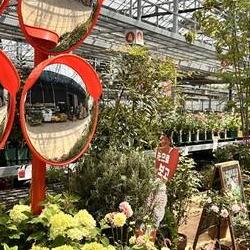 대림원예종묘 위치 공개! 서울 식물 천국 숨겨진 보물찾기