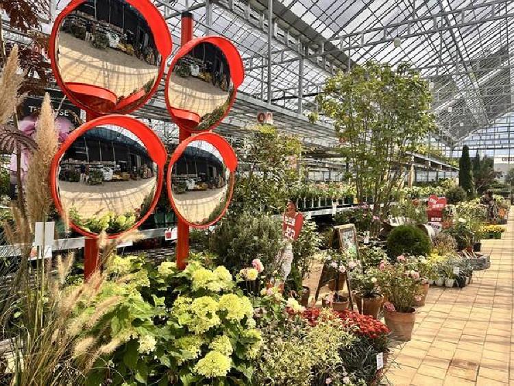 대림원예종묘 위치 공개! 서울 식물 천국 숨겨진 보물찾기