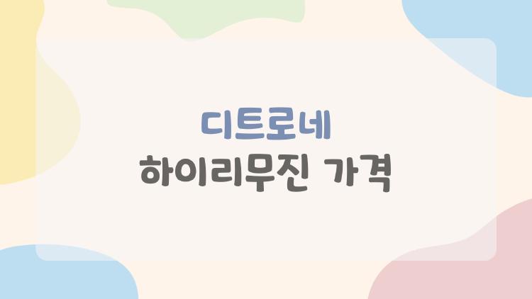 디트로네 하이리무진 가격