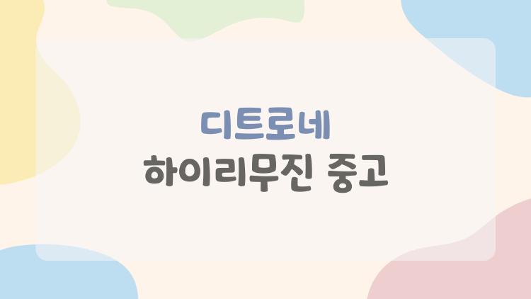 디트로네 하이리무진 중고