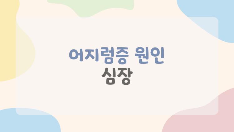 어지럼증 원인 심장