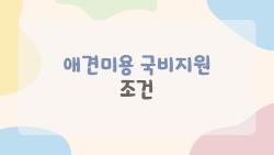 애견미용 국비지원 조건, 나도 받을 수 있을까 충격 자격