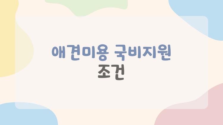 애견미용 국비지원 조건