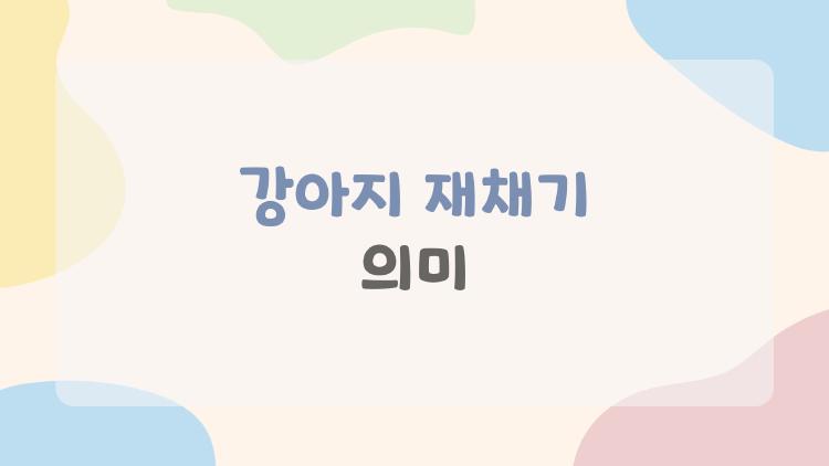 강아지 재채기 의미