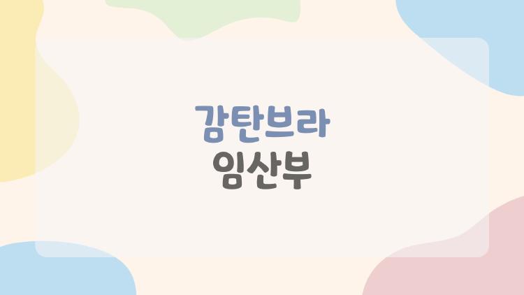 감탄브라 임산부
