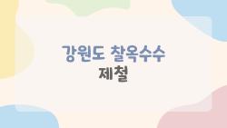 강원도 찰옥수수 제철, 7월이 진짜 맛있을까?
