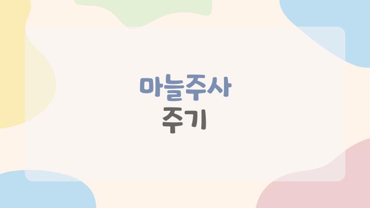 마늘주사 주기
