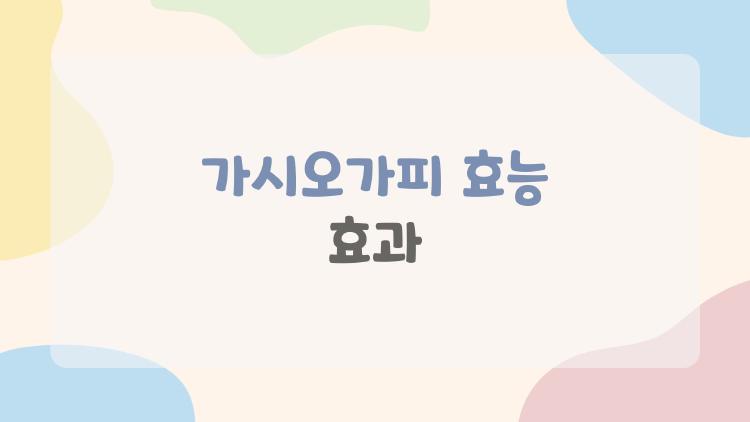 가시오가피 효능 효과