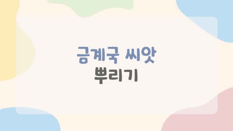 금계국 씨앗 뿌리기