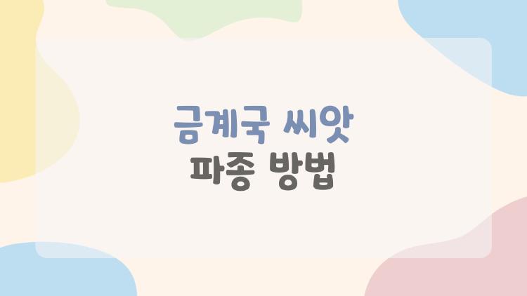금계국 씨앗 파종 방법