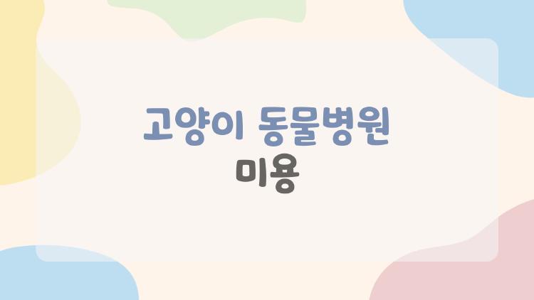 고양이 동물병원 미용
