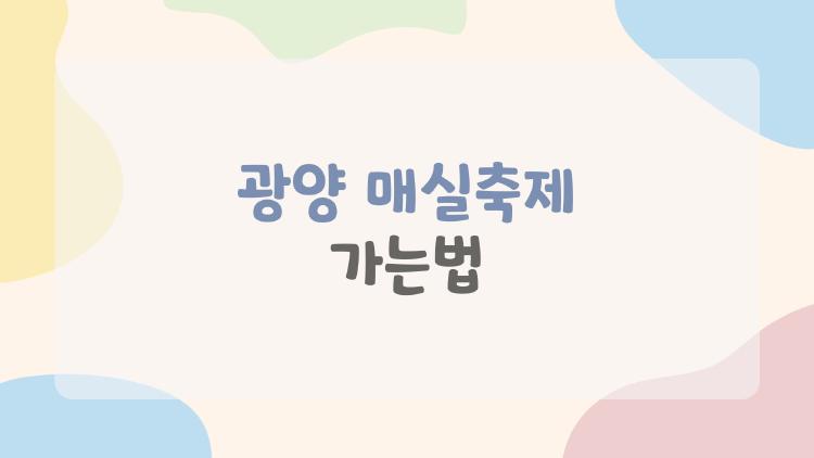 광양 매실축제 가는법