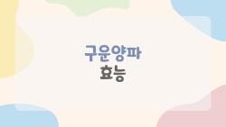 구운양파 효능, 이건 몰랐지? 혈관을 깨끗하게 만드는 이유