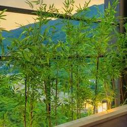 하동 벚꽃 숙소, 방에서 꽃비 맞는 그 느낌 미쳤어!