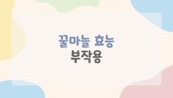 꿀마늘 효능 부작용 진실, 2026년 혈관 폭발 루머?