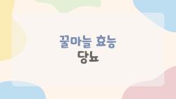 꿀마늘 효능 당뇨, HbA1c 1% 뚝 떨어진 충격 비밀