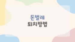 돈벌레 퇴치방법, 집안 지옥에서 3일 만에 완벽 해방된 비밀