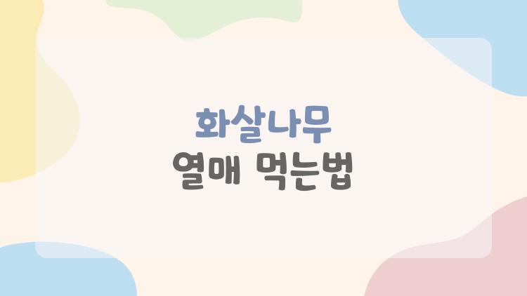 화살나무 열매 먹는법, 독성 피하고 건강 챙기는 비밀