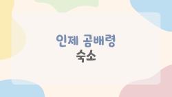 인제 곰배령 숙소, 숨겨진 펜션 5곳 공개