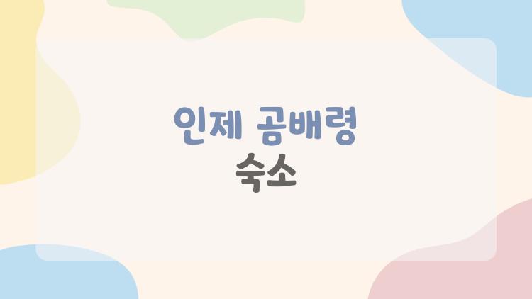 인제 곰배령 숙소, 숨겨진 펜션 5곳 공개