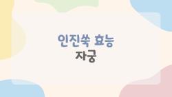 인진쑥 효능 자궁, 임신부 먹으면 안 되는 진실?