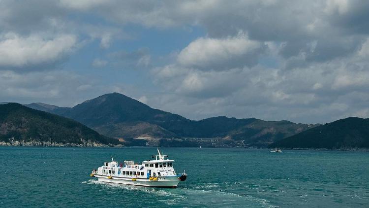 지심도 배 요금, 가족 4인 6만 원? 절약 팁 공개!